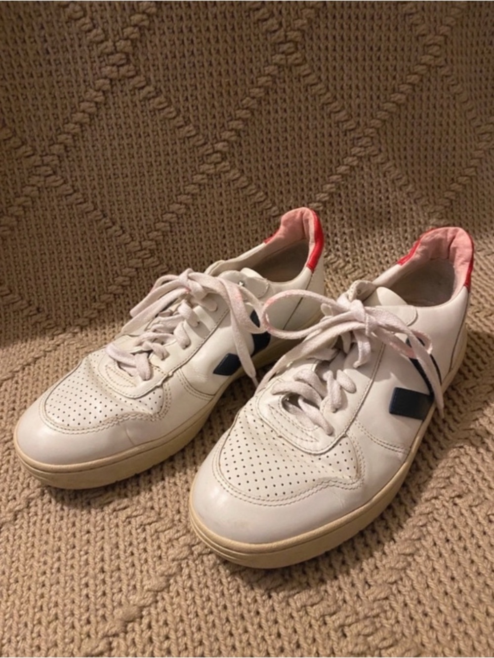 Men Veja shoes